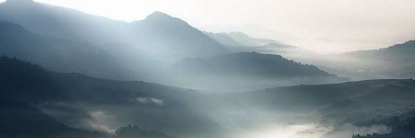 lrinaldetti Profile Banner