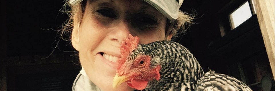 nancytiemann's profile banner image
