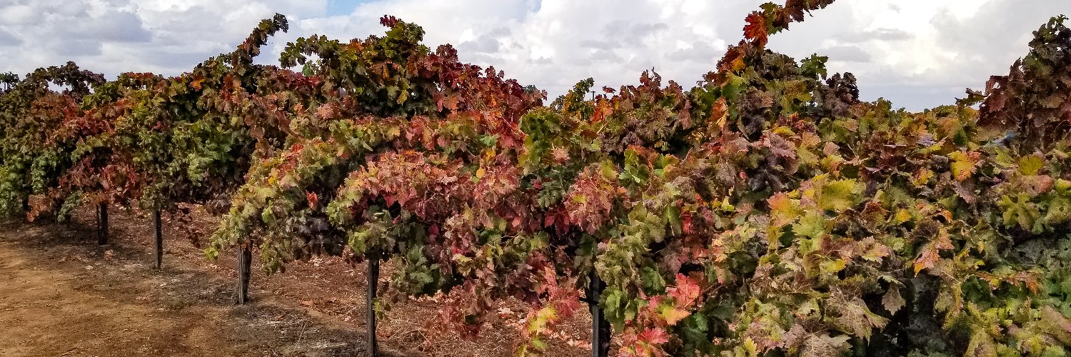 FCwine's profile banner image