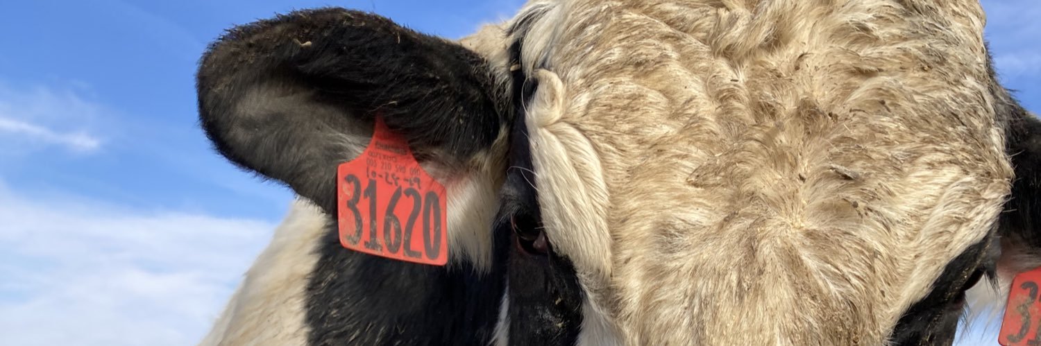 Brian Schmitt banner