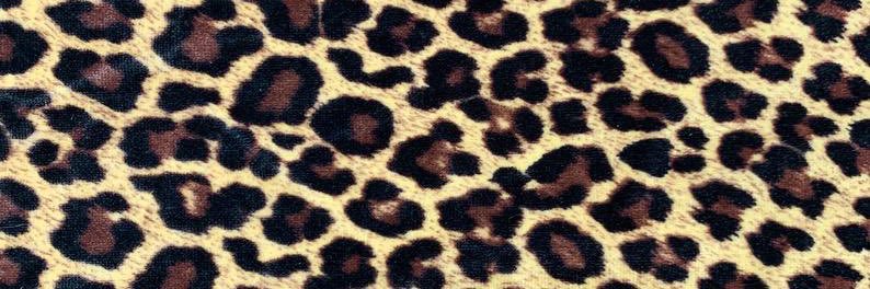 Reelcorte's profile banner image