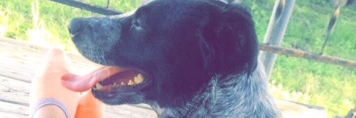 RatzloffSammy's profile banner image