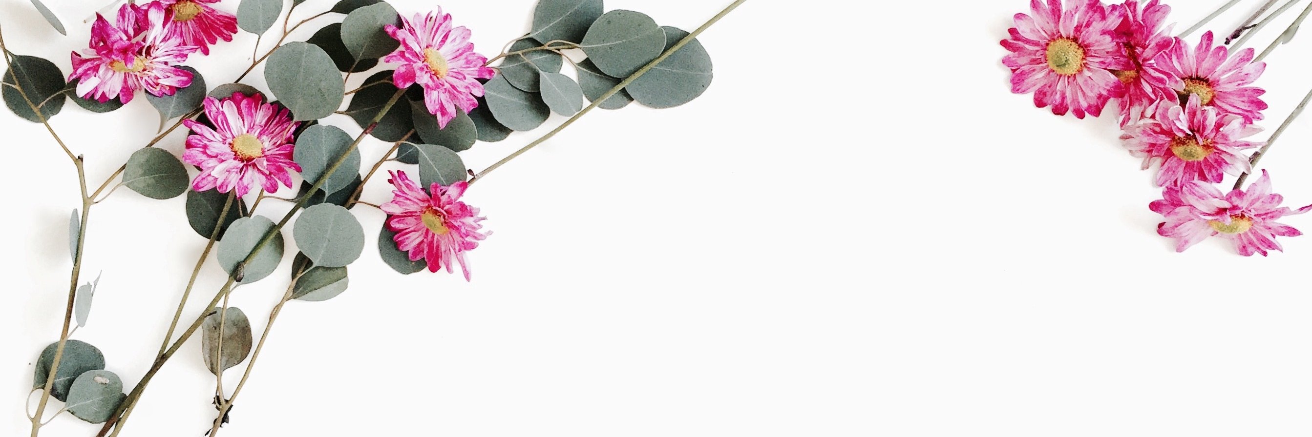 l a r i s s a banner