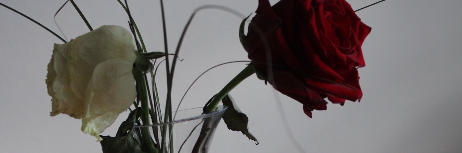 Anisha_sd's profile banner image