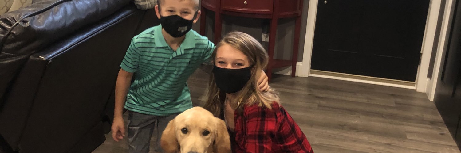 alikate31's profile banner image