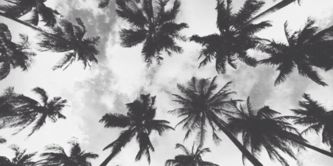 thebvnshee's profile banner image
