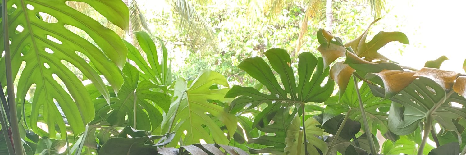 kweenmimi_'s profile banner image