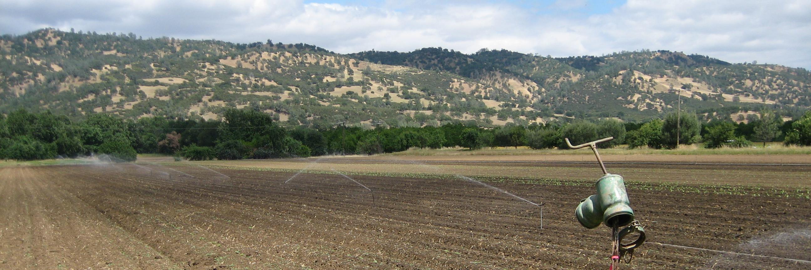 ksullmann's profile banner image
