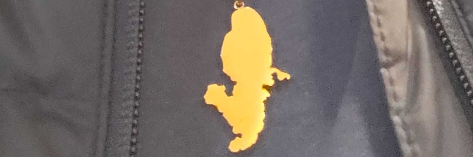 anthony / PSG 🇬🇦🇲🇶 banner