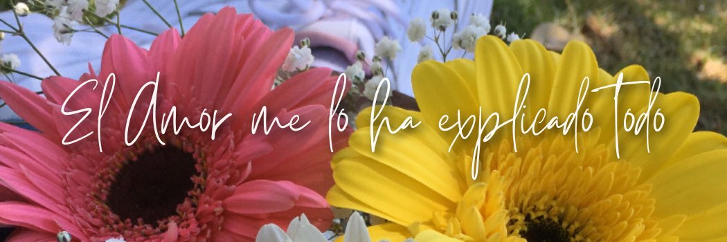 YesiiMegon's profile banner image