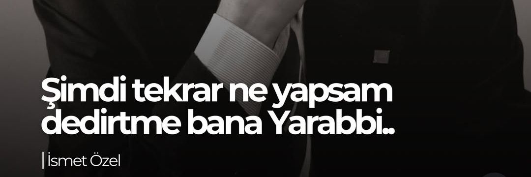 ozerleyli's profile banner image