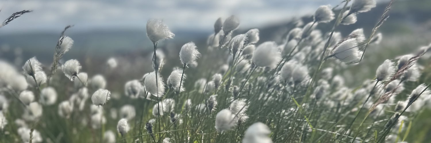 ameliamccoy12's profile banner image