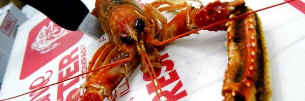 Supreme Lobster Profile Banner