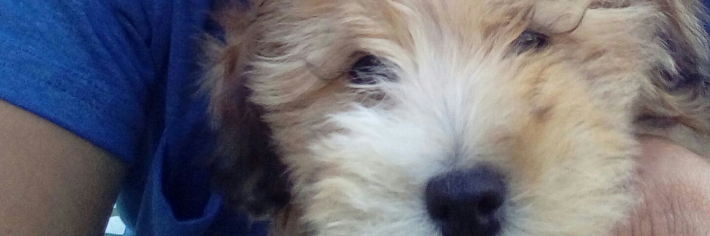 raul_rva's profile banner image
