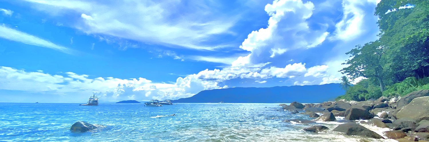RafaNicolao's profile banner image