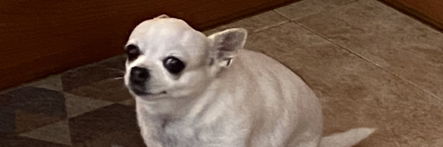 e_Rikk_'s profile banner image