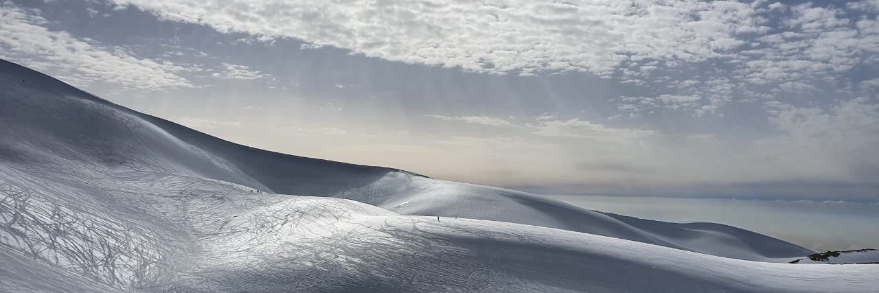 Verity Ratcliffe banner