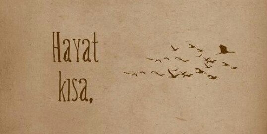 iiremmsenn's profile banner image