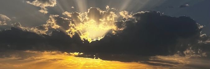 TharpGrace's profile banner image
