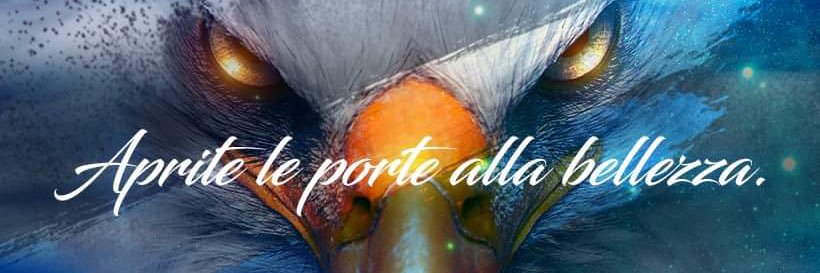 StefBenedetti's profile banner image