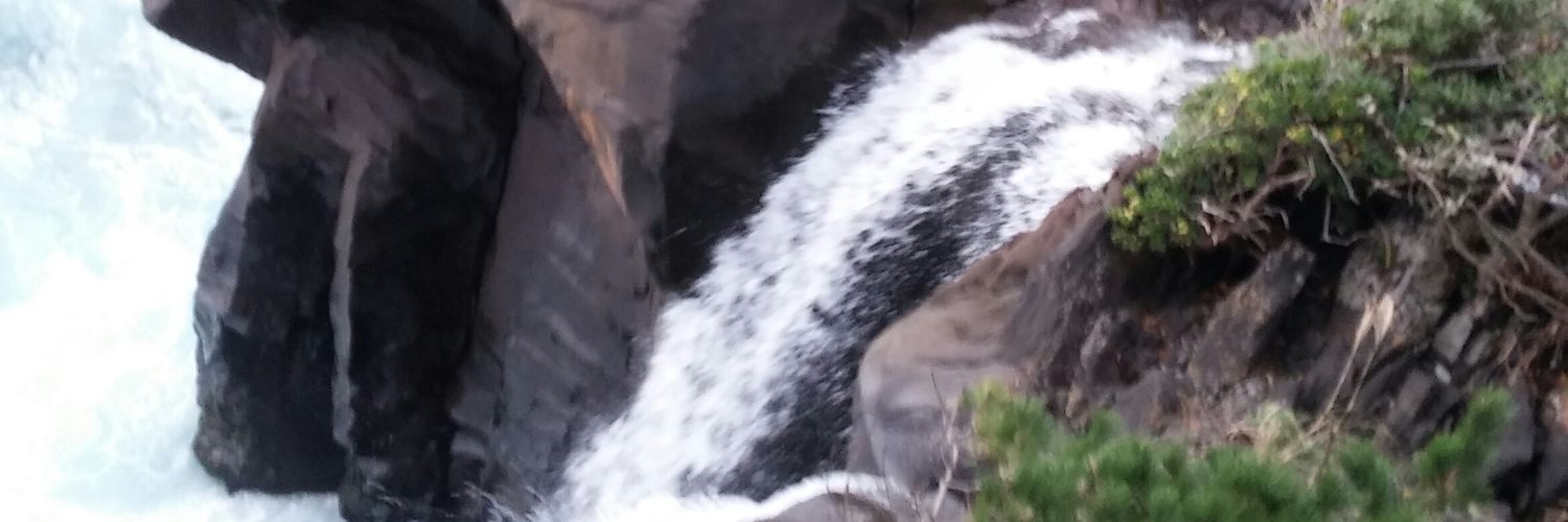 drinkerShima's profile banner image