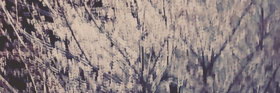 연 banner