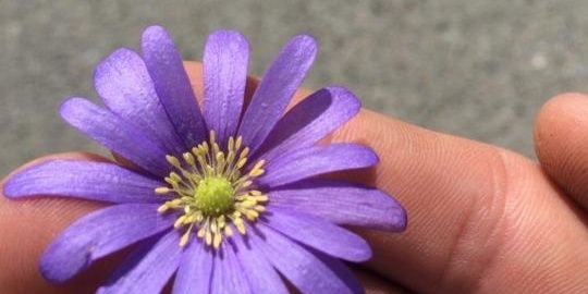 LaurenMacpher's profile banner image