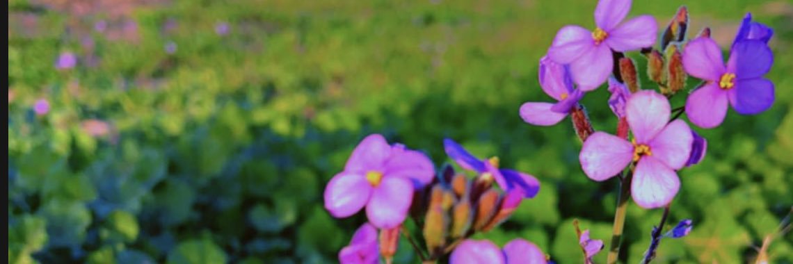lix09h's profile banner image