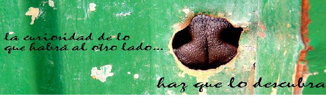 Protectora Lugo banner