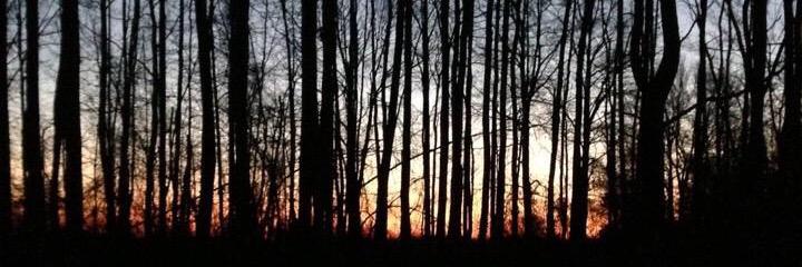 SP_Outdoors's profile banner image