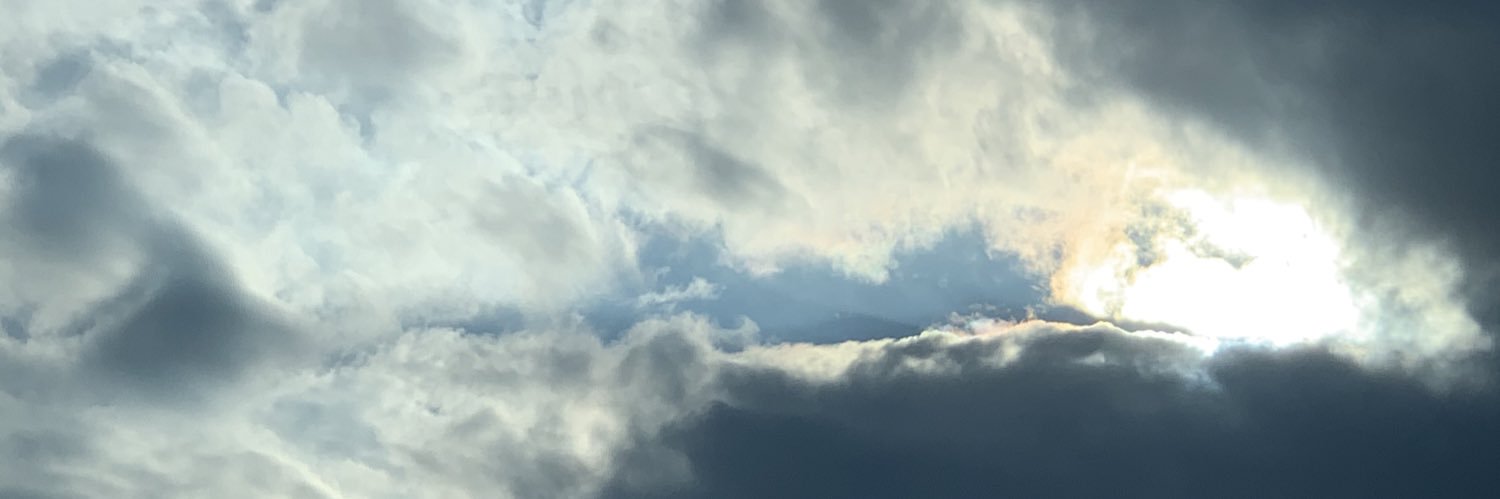 haileytreanor's profile banner image