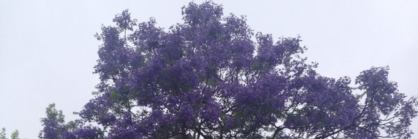 tessagargett Profile Banner