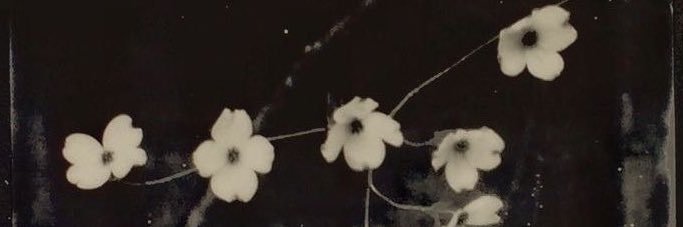 mafemtzz's profile banner image