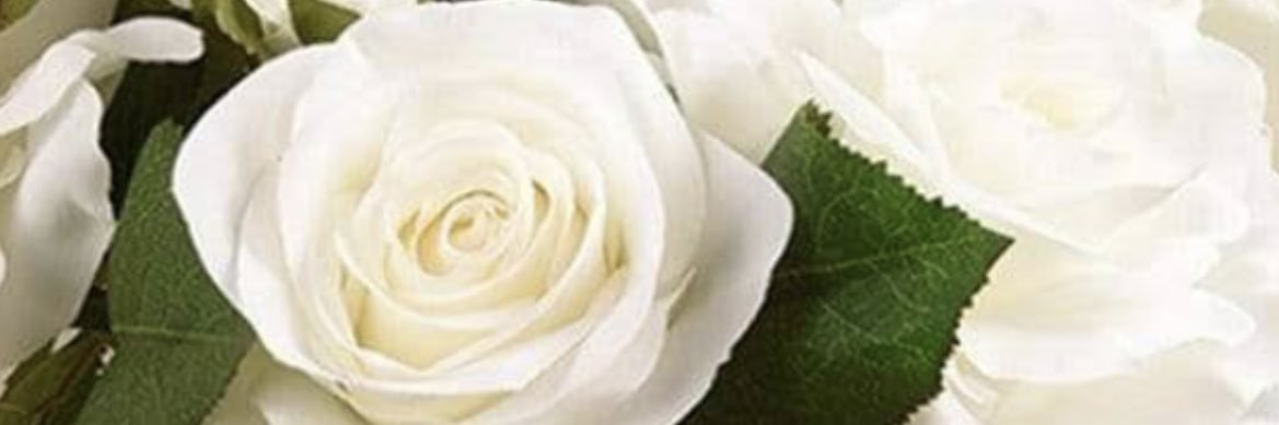 haaihat's profile banner image