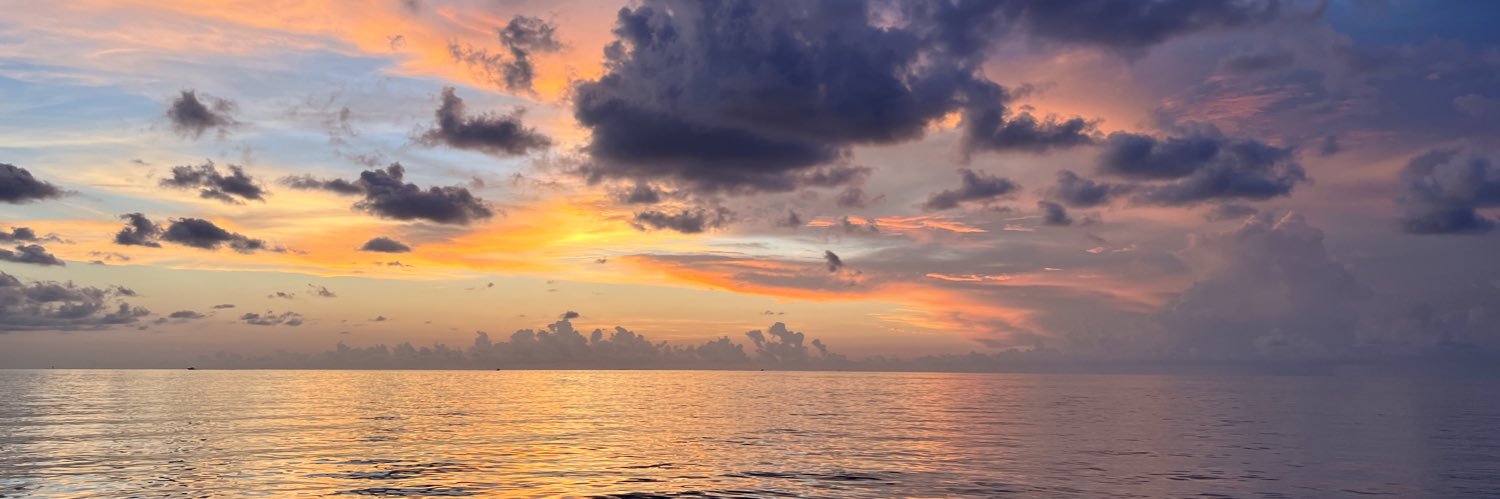 ally_padgett's profile banner image