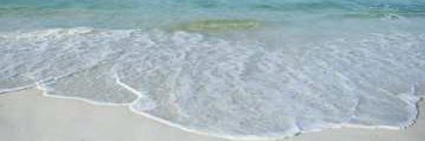 BeMo66 Profile Banner