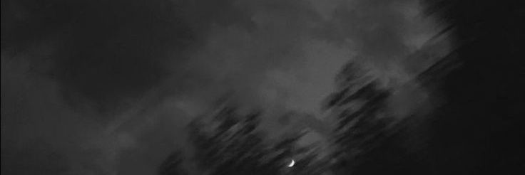 faelsdss's profile banner image
