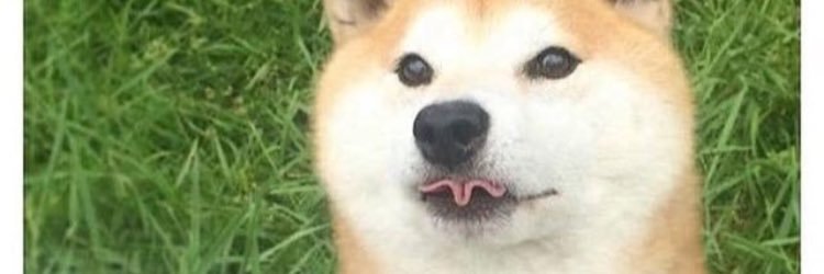 Lisha710's profile banner image