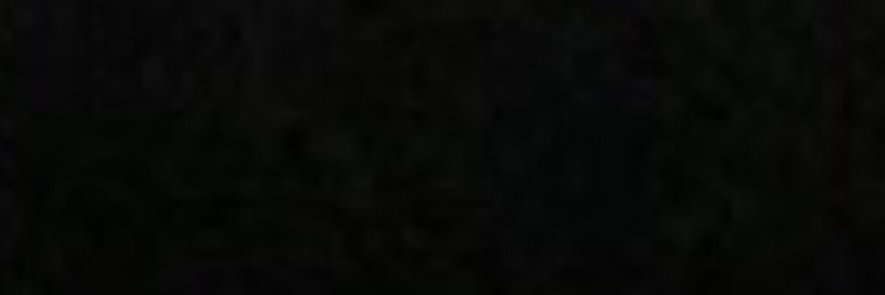 zmalikftari's profile banner image