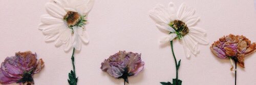 frncntchamn's profile banner image