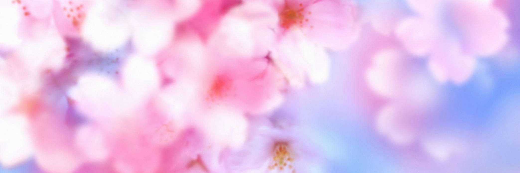 jbeyondthesky's profile banner image