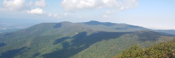 silverstee1 Profile Banner