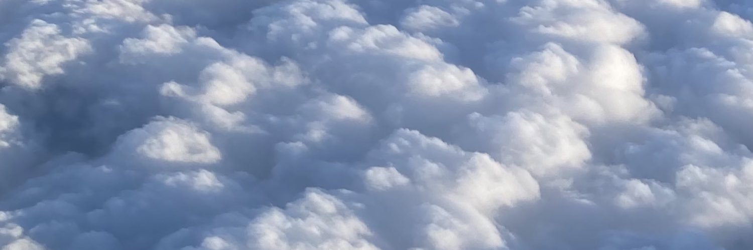 erin_canfield_'s profile banner image