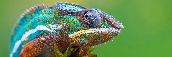 thrivev Profile Banner