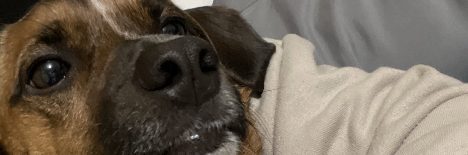 katalinarosee's profile banner image