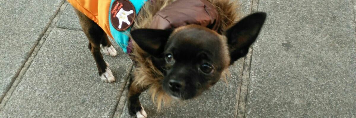 rogomez12's profile banner image