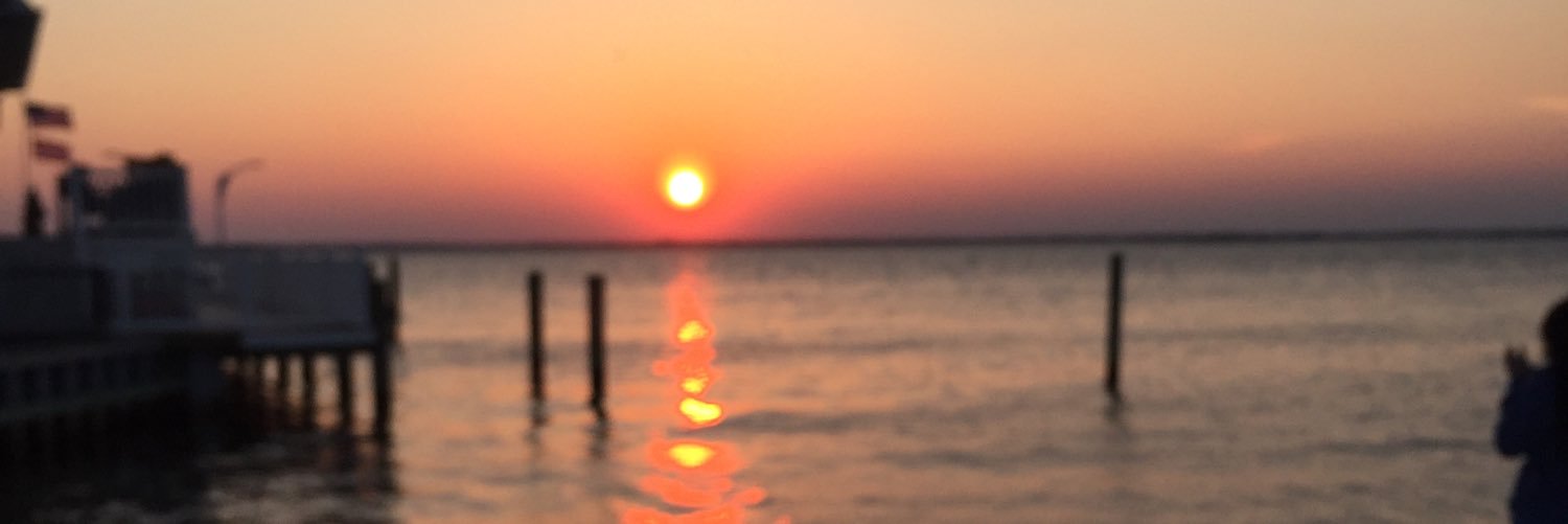 nicole_hingos's profile banner image