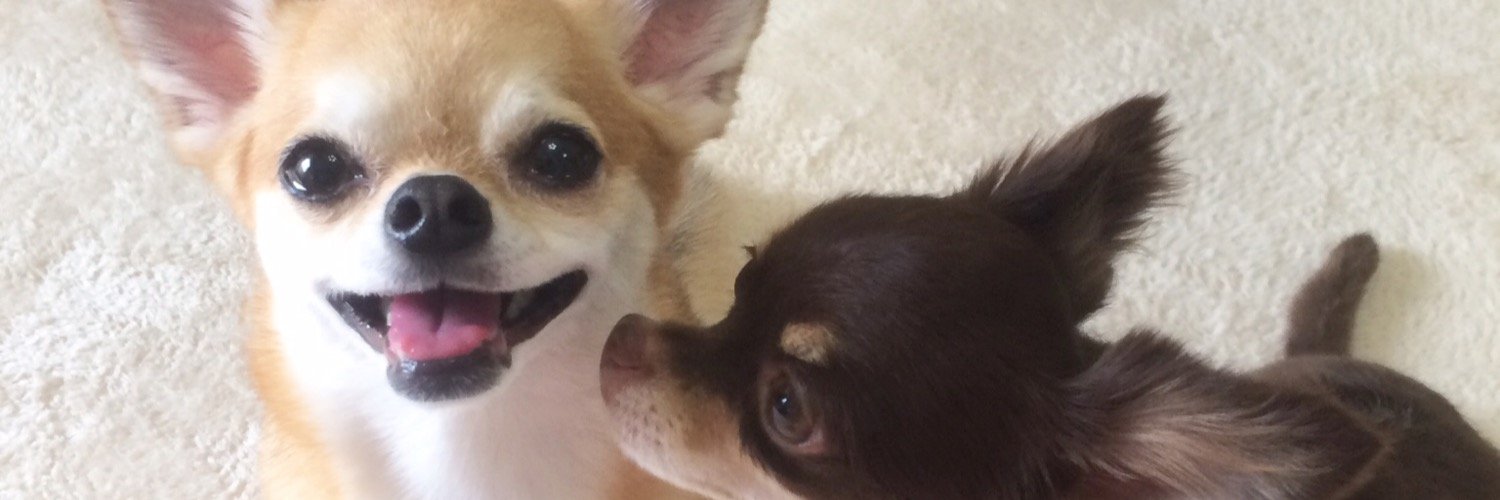 322choco's profile banner image