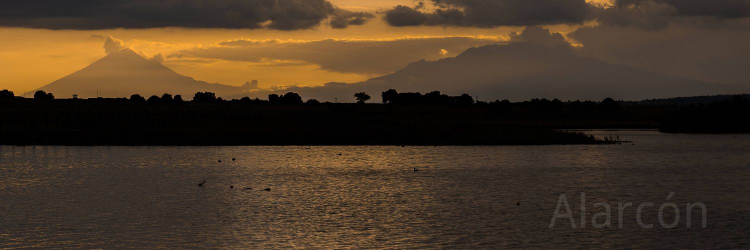 ralarconareli's profile banner image