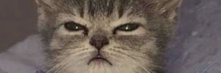 jeeeemm's profile banner image